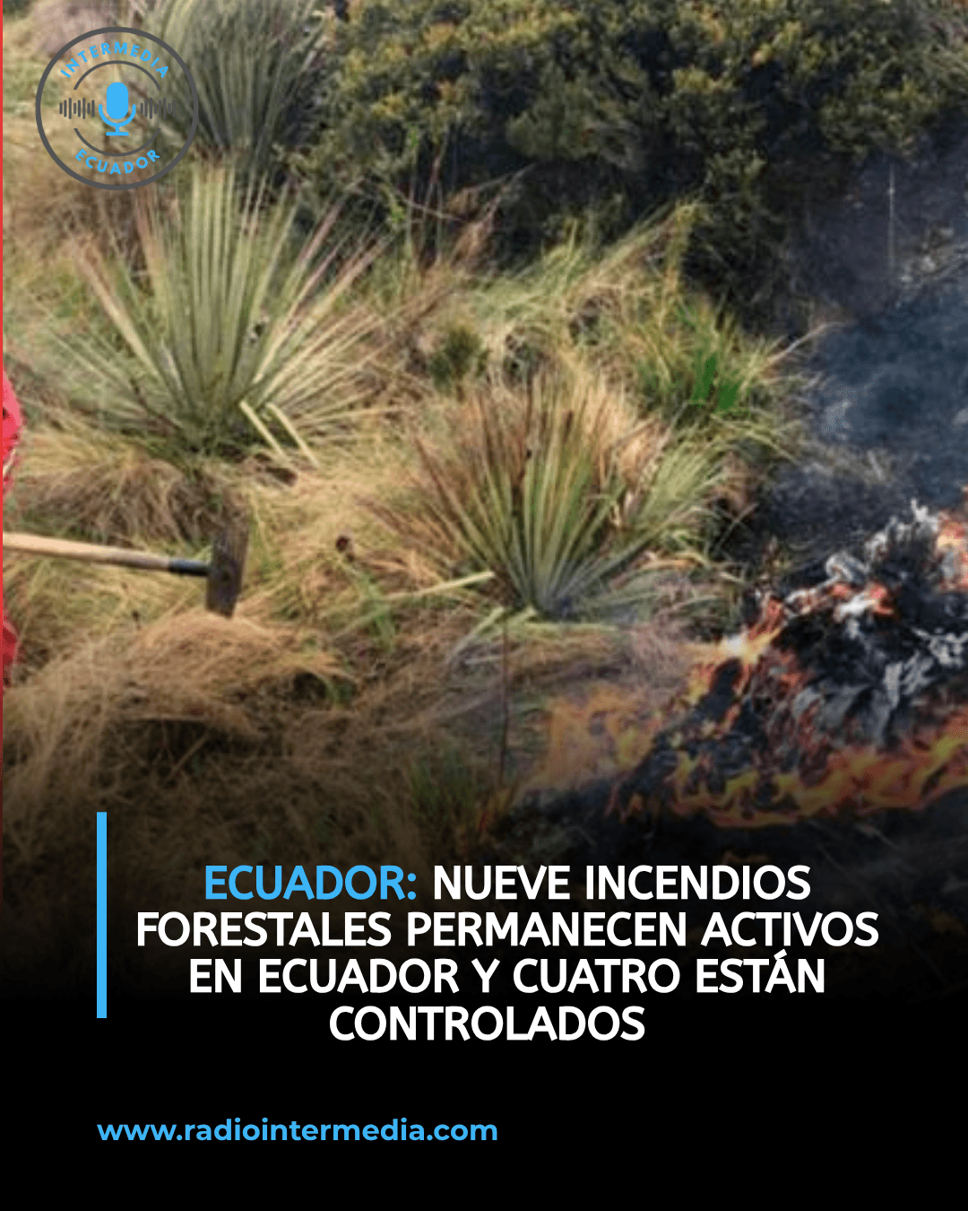 Nueve incendios forestales permanecen activos en Ecuador y cuatro están controlados