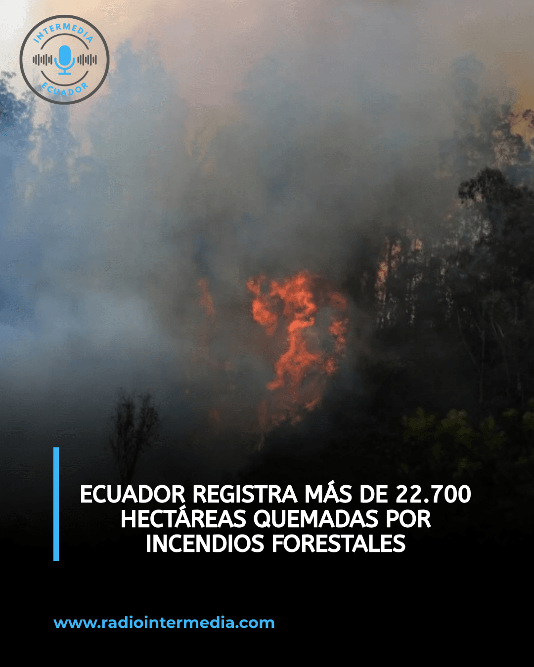 Ecuador registra más de 22.700 hectáreas quemadas por incendios forestales
